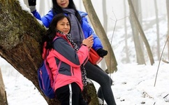 澧色母1一6汤不加